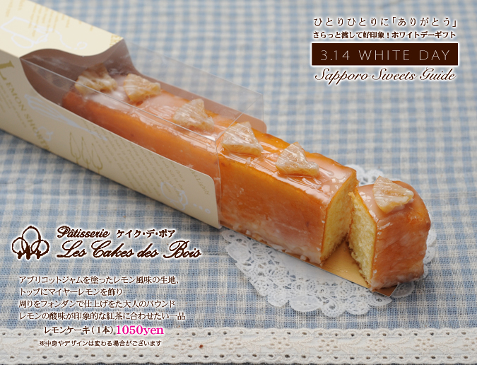 AvRbgWh̐nAgbvɃ}C[AtH_Ŏdグl̃pEhB
̎_ۓIȍgɍ킹i@P[L1050yen
